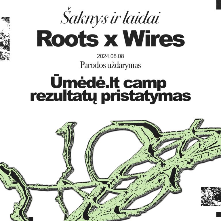 08/08/2024 Performative evening of the exhibition Roots & Wires and Ūmėdė.lt festival
